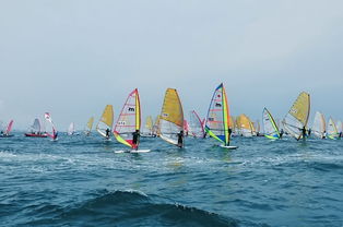 海上揚(yáng)帆，陸路通達(dá) 國(guó)際貨運(yùn)代理業(yè)務(wù)的雙重變奏