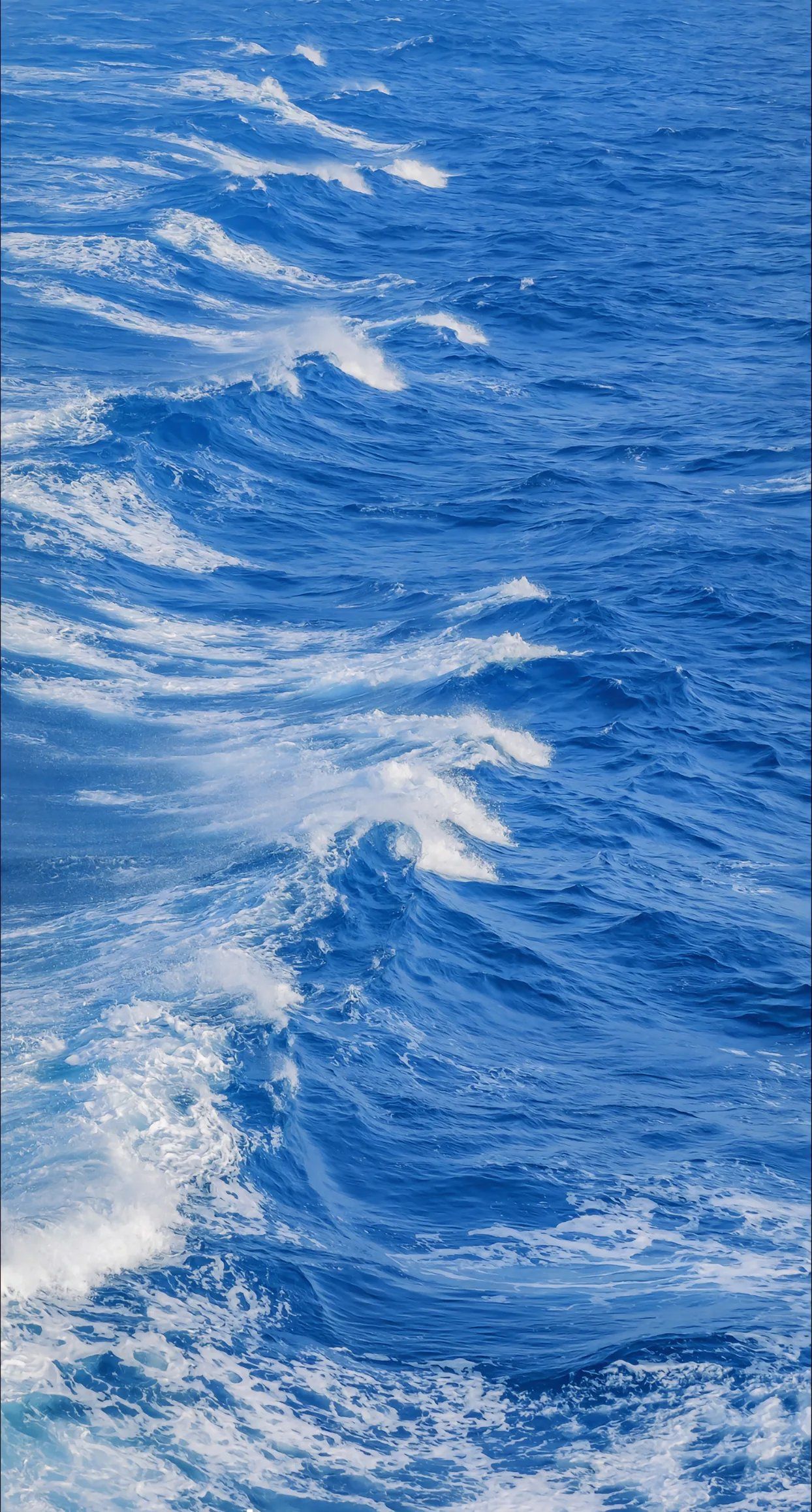 海上漂，心飛揚(yáng)——探索陸路國(guó)際貨運(yùn)代理業(yè)務(wù)的獨(dú)特魅力